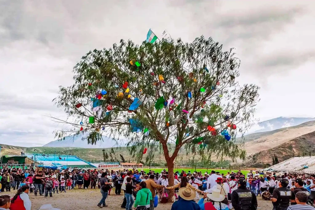 Yunzada en Cusco