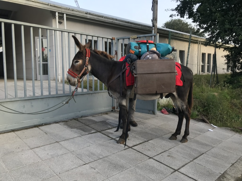 A burro tambien es posible hacer el Camino De Santiago.