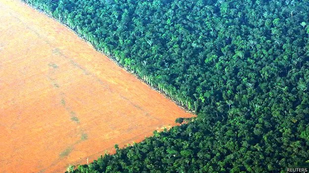 Vista aérea del límite entre la selva amazónica y un campo deforestado para cultivo.